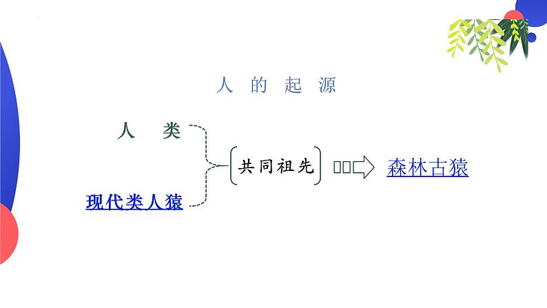 4.1.1 人类的起源和发展 课件-2023-2024学年人教版生物七年级下册第6页