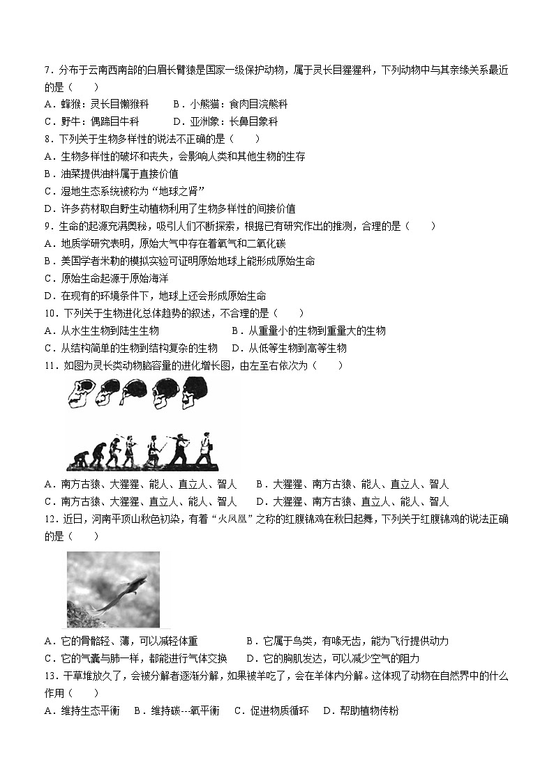 河南省平顶山市郏县2023-2024学年八年级上学期期中学情检测生物试题02