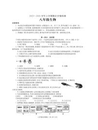 河南省平顶山市郏县2023-2024学年八年级上学期期末学情检测生物试题