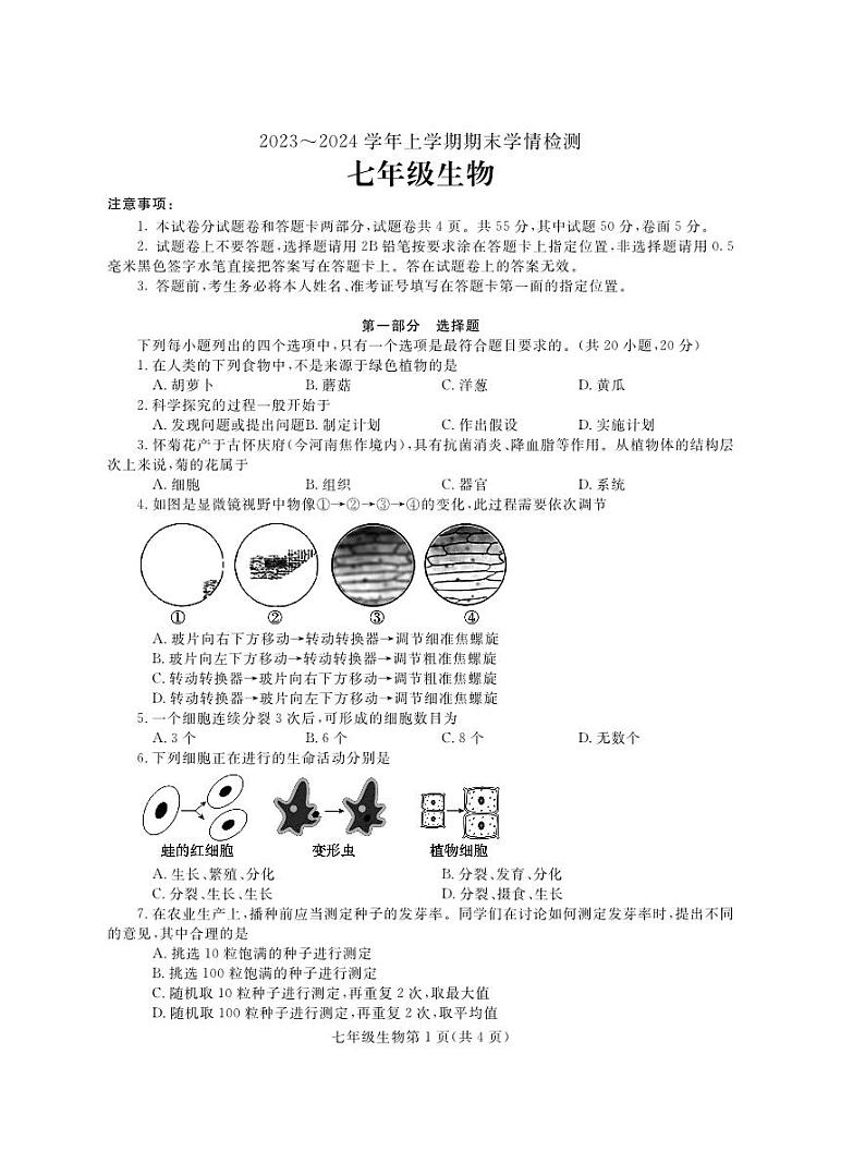 河南省平顶山市郏县2023-2024学年七年级上学期期末学情检测生物+试题01