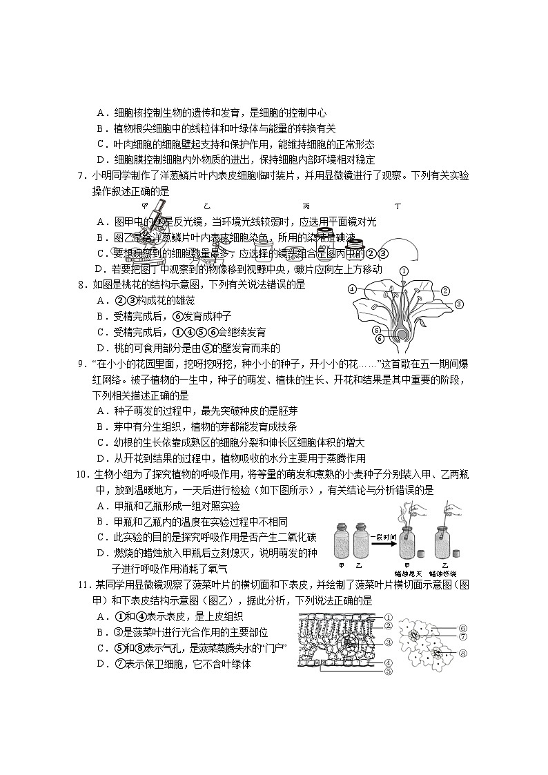 湖北省天门市2023-2024学年七年级上学期期末考试生物试题第2页