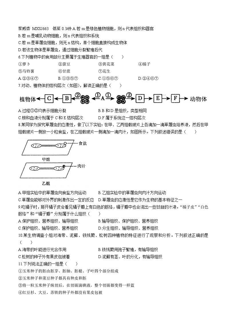湖南省娄底市涟源市2023-2024学年七年级上学期12月月考生物试题第2页