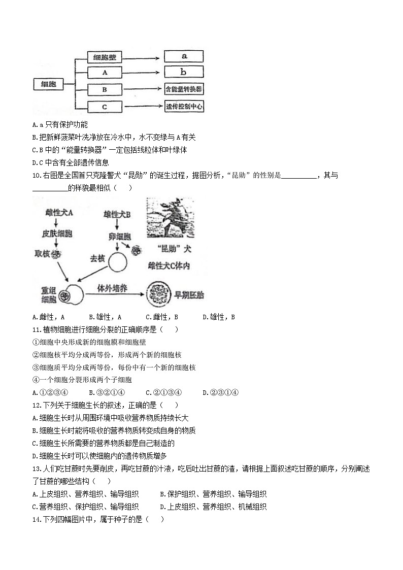 湖南省娄底市双峰县2023-2024学年七年级上学期12月月考生物试题()02