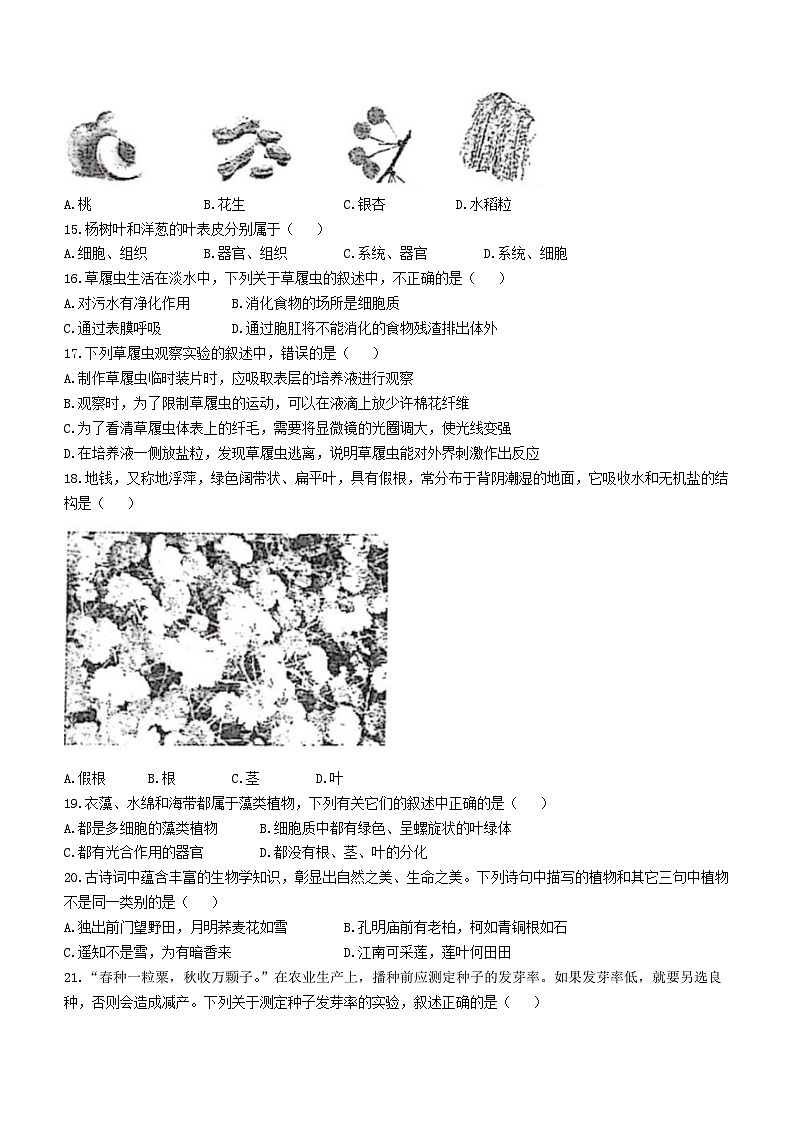 湖南省娄底市双峰县2023-2024学年七年级上学期12月月考生物试题()03