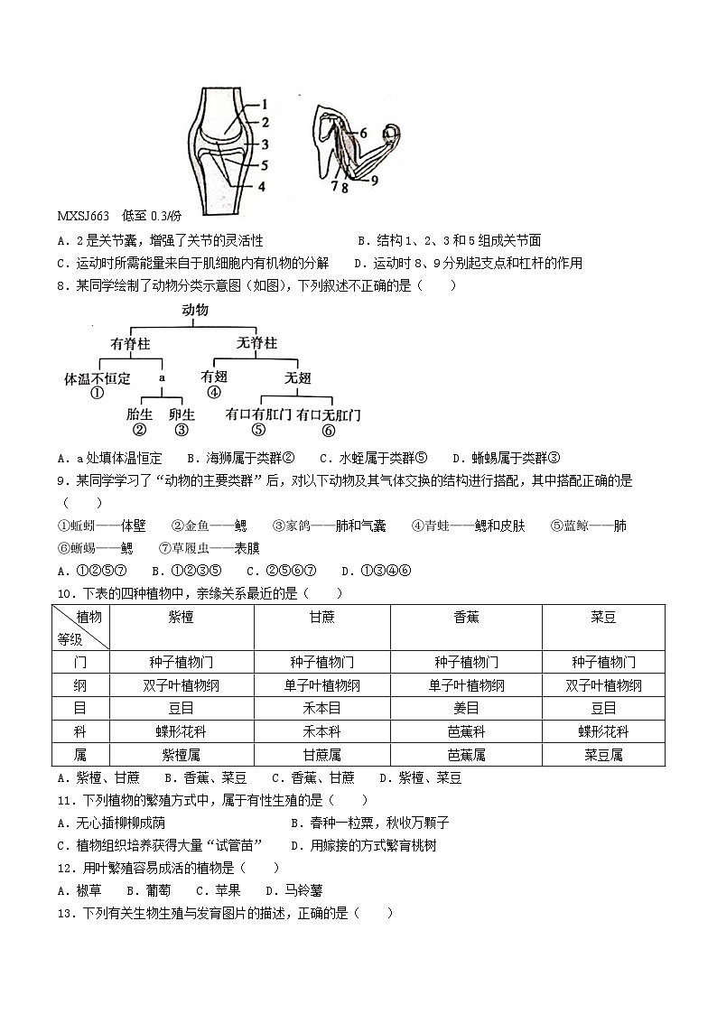 湖南省邵阳市邵东市2023-2024学年八年级上学期12月月考生物试题第2页
