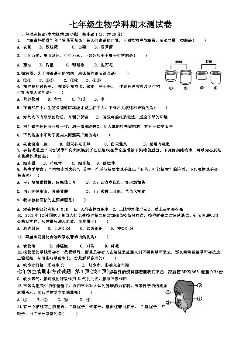 江西省赣州市经开区2023-2024学年七年级上学期生物期末试题(1)01