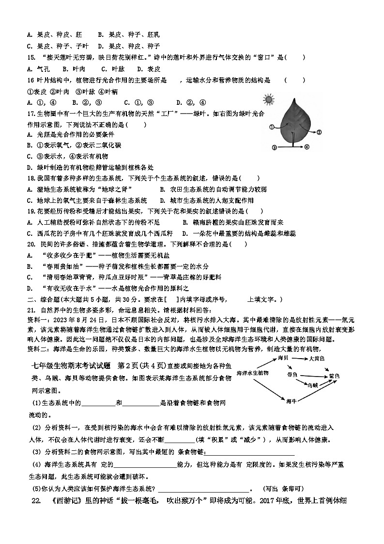 江西省赣州市经开区2023-2024学年七年级上学期生物期末试题(1)02