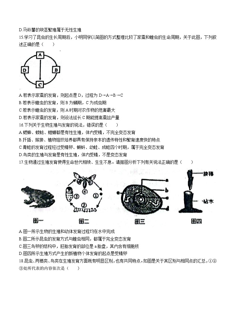山东省东营市利津县2023-2024学年八年级上学期期中考试生物试题()03