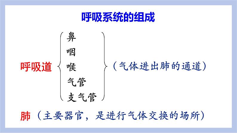 【核心素养】人教版初中生物七年级下册4.3.1《呼吸道对空气的处理》课件第7页