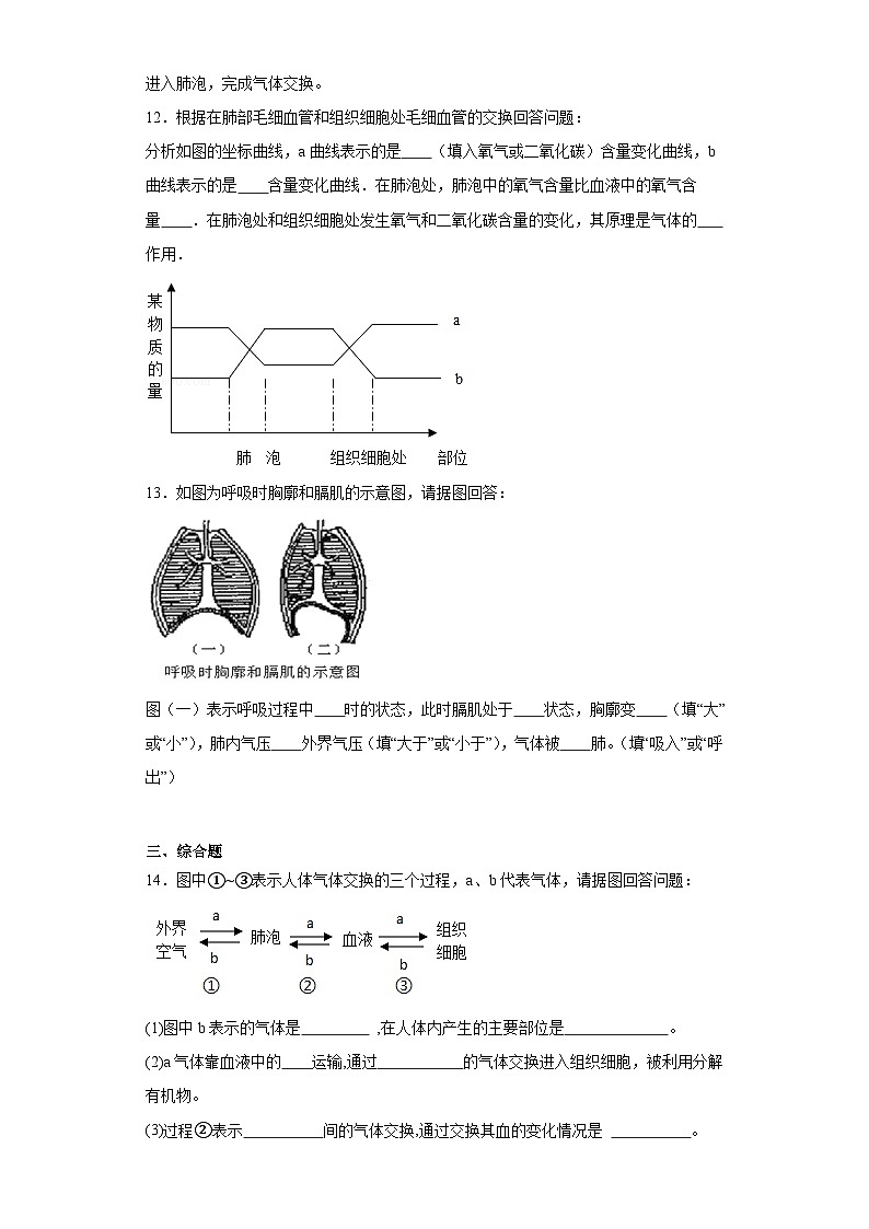 【核心素养】人教版初中生物七年级下册4.3.2《发生在肺内的气体交换》课件＋课时练习＋教案（含教学反思）03