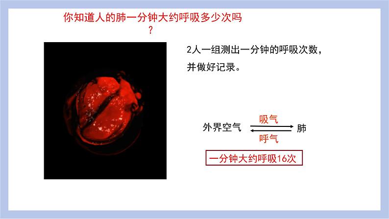 【核心素养】人教版初中生物七年级下册4.3.2《发生在肺内的气体交换》课件＋课时练习＋教案（含教学反思）06