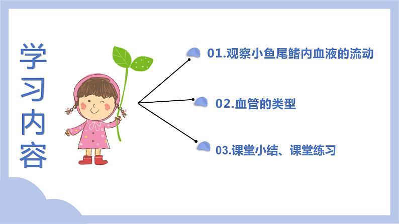 【核心素养】人教版初中生物七年级下册4.4.2《血流的管道—血管》课件＋课时练习＋教案（含教学反思）03