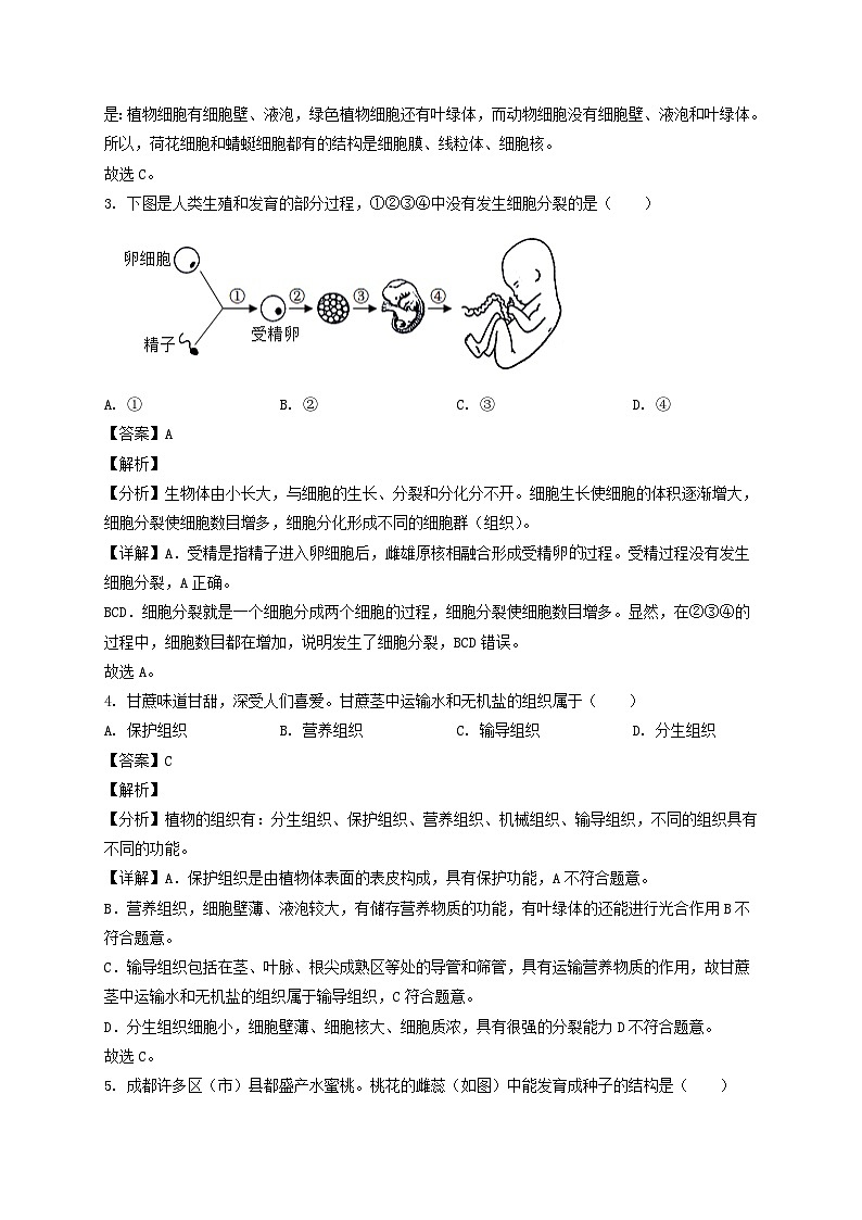 2022年四川成都中考生物真题及答案02