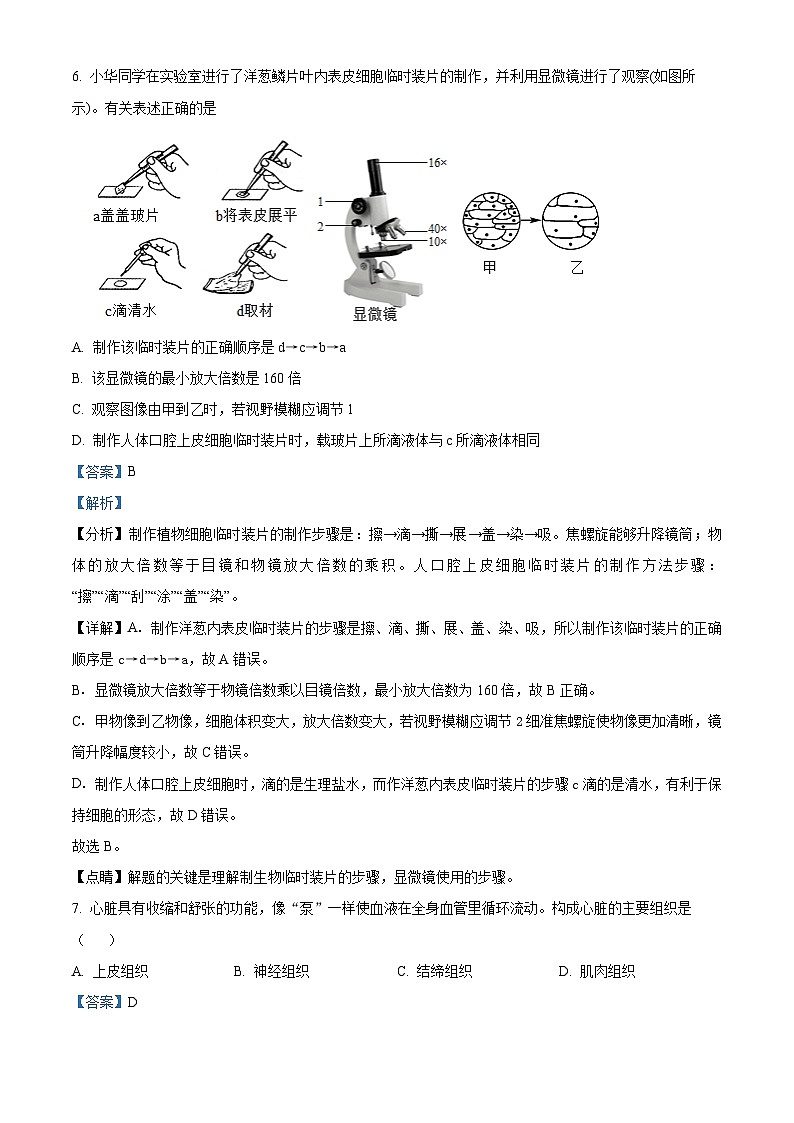 10，辽宁省辽阳市二中协作校2023-2024学年七年级上学期期中生物试题03
