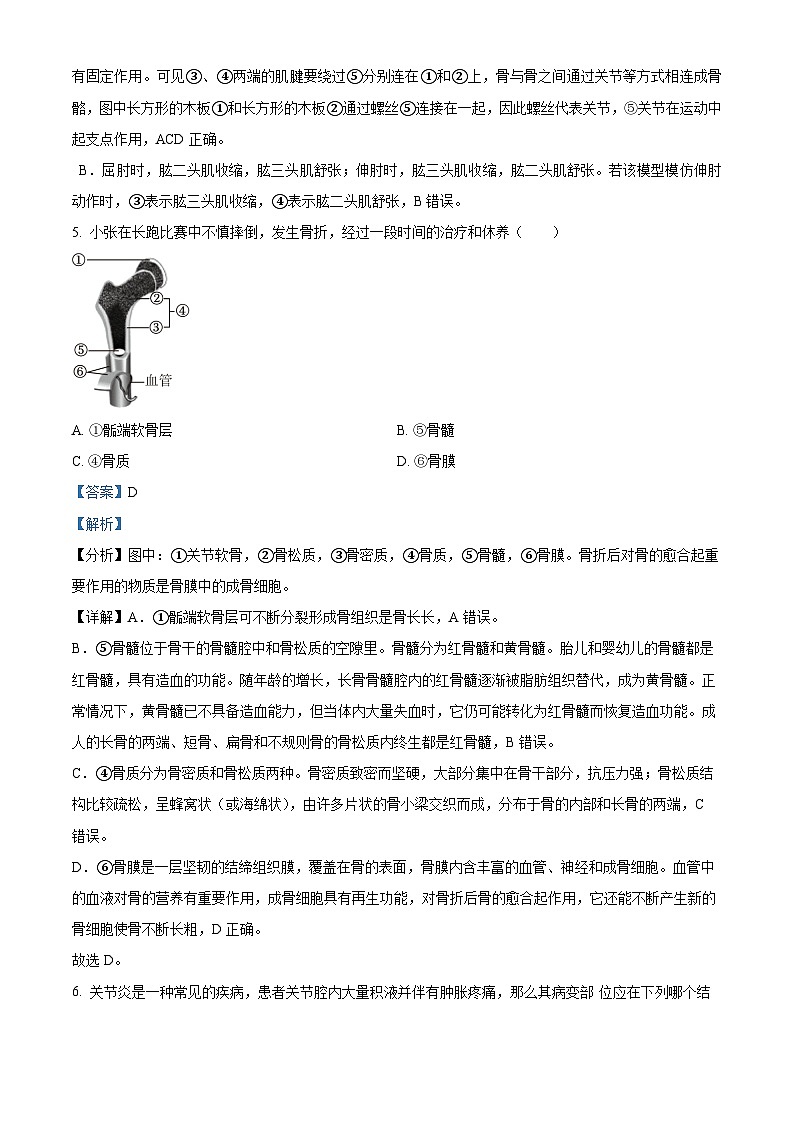 11，贵州省铜仁市印江县2023-2024学年八年级上学期期中生物试题03