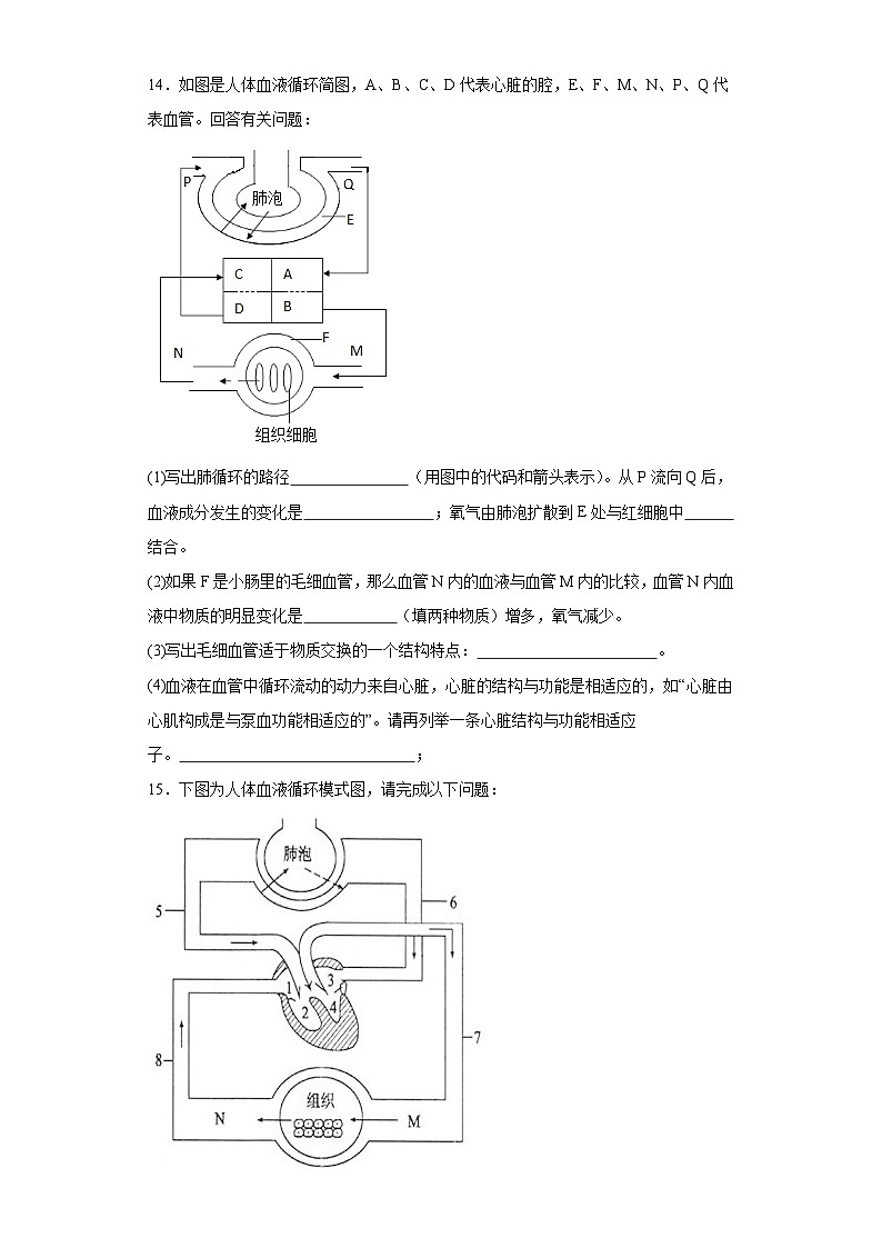 【核心素养】人教版初中生物七年级下册4.4.3《输送血液的泵—心脏》课件＋课时练习＋教案（含教学反思）03