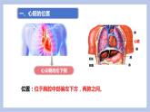 【核心素养】人教版初中生物七年级下册4.4.3《输送血液的泵—心脏》课件＋课时练习＋教案（含教学反思）