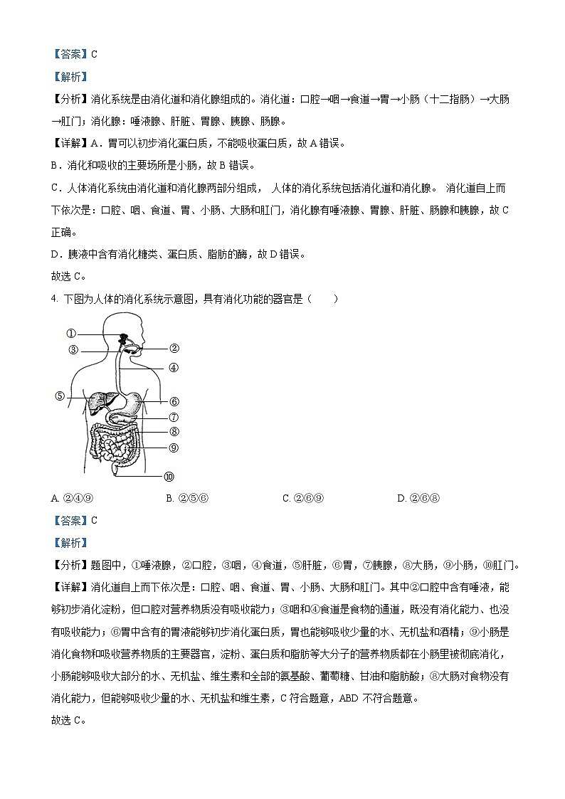 广东省湛江市第二十九中学2022-2023学年七年级下学期期末生物试题第2页