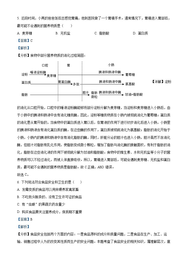 广东省湛江市第二十九中学2022-2023学年七年级下学期期末生物试题第3页