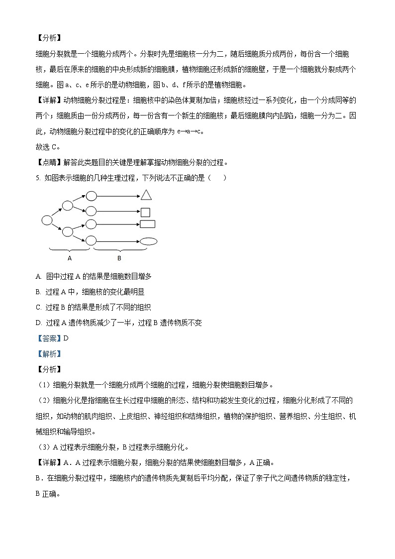 山东省德州市平原县三校联考2023-2024学年七年级上学期期中生物试题03