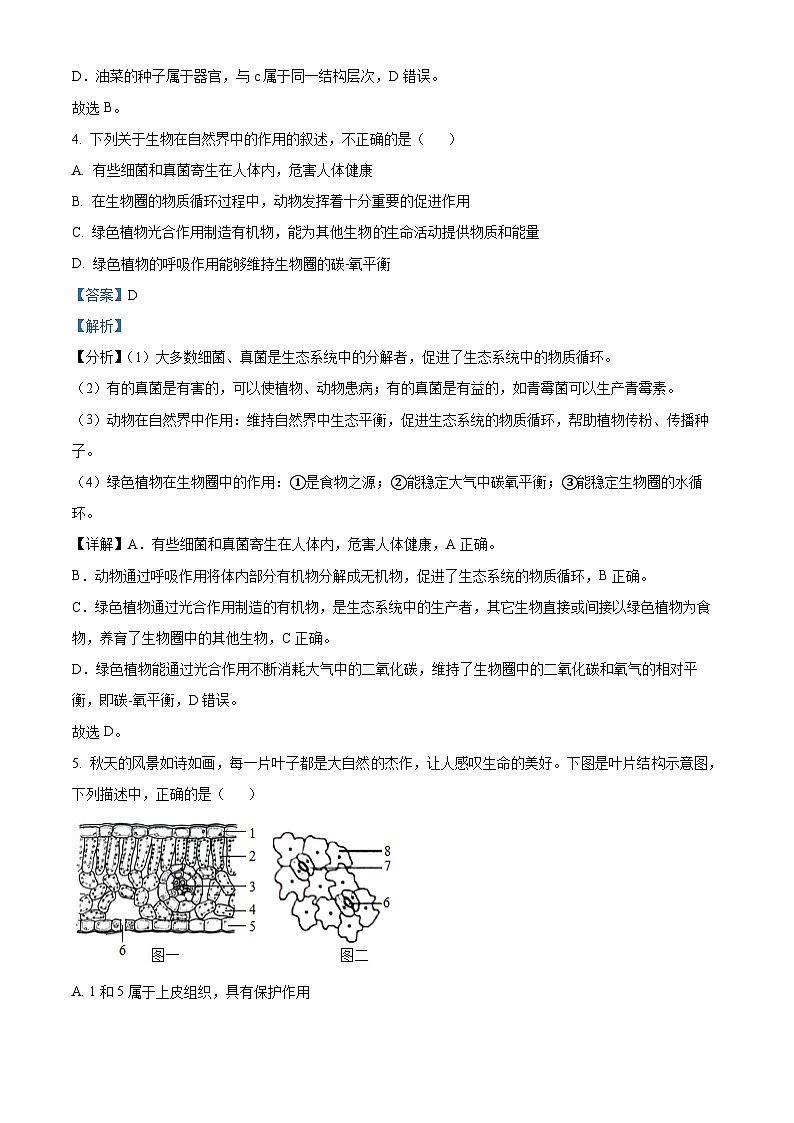 山东省菏泽市鲁西新区2023-2024学年九年级上学期期中生物试题03