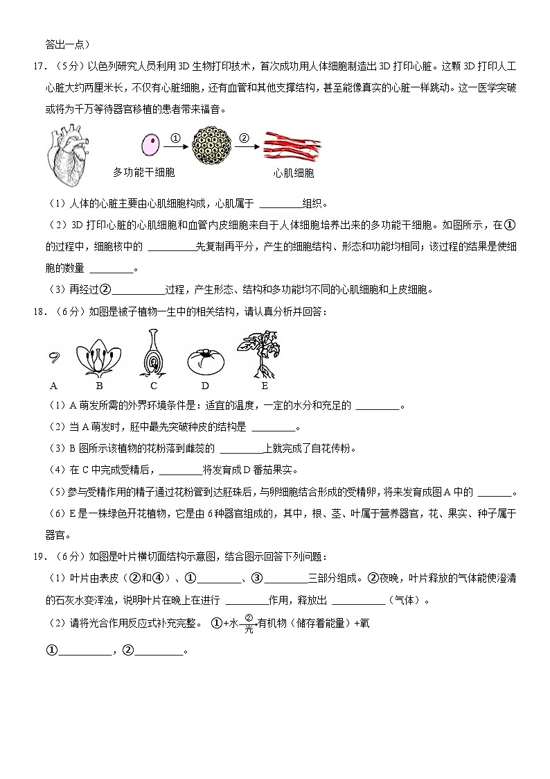 广西梧州市岑溪市2023-2024学年七年级上学期期末生物试卷03