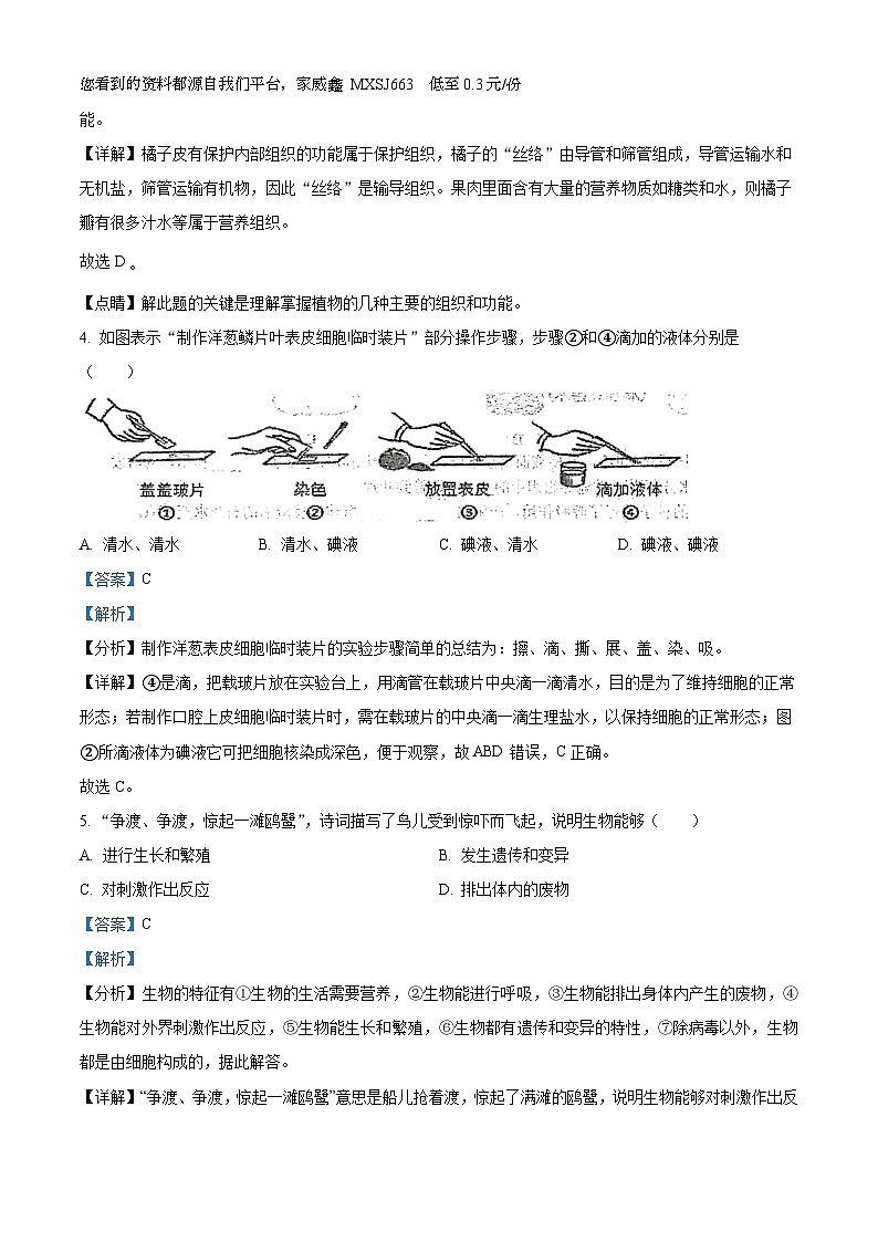 10，安徽省安庆市桐城市第二中学2023-2024学年七年级上学期期末考试生物试题第2页