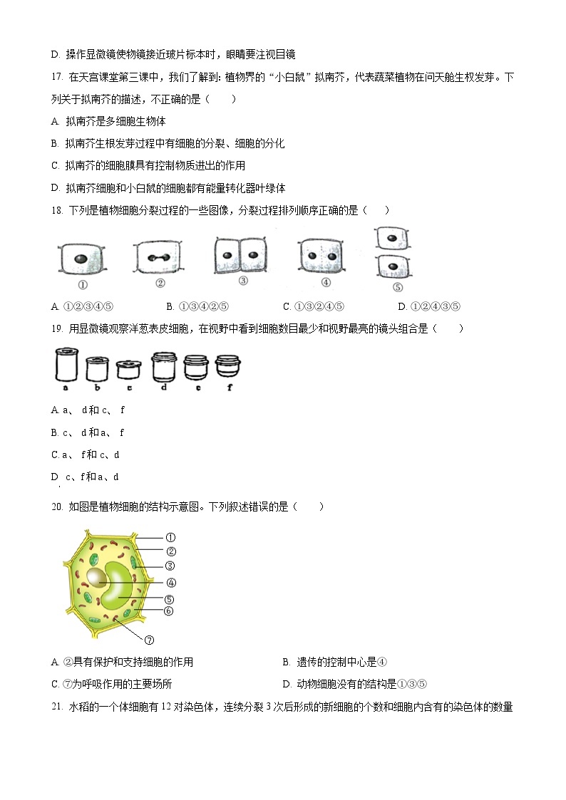 广东省湛江市第二十九中学2022--2023学年七年级上学期期末生物试题（原卷+解析）03