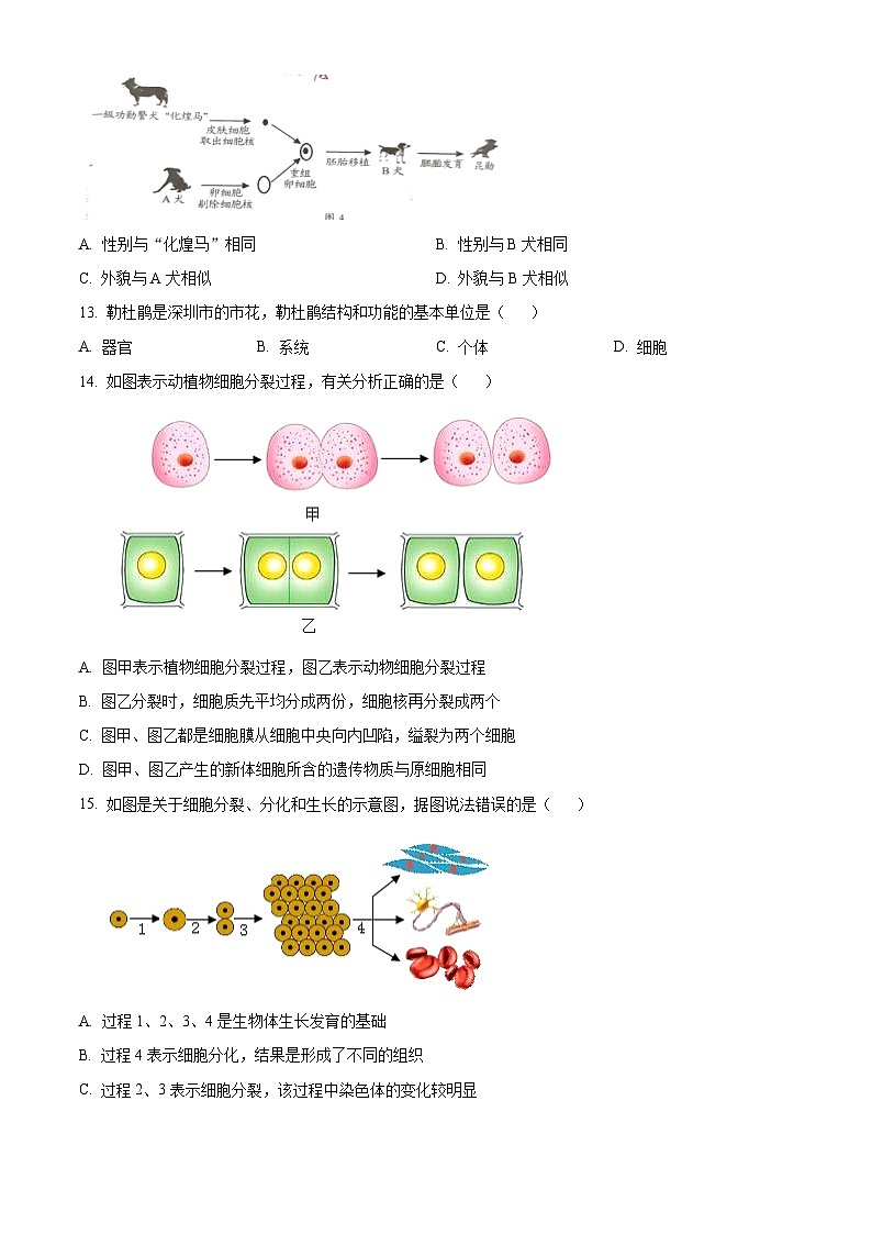 精品解析：广东省深圳市龙华区2022-2023学年七年级上学期期末生物试卷（原卷版）第3页