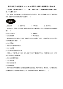 湖北省武汉市黄陂区2023-2024学年八年级上学期期中生物试卷（原卷+解析）