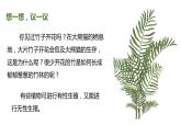 7.1.1 植物的生殖（课件)-2023-2024学年人教版生物八年级下册
