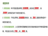7.1.1 植物的生殖（课件)-2023-2024学年人教版生物八年级下册