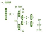 7.1.1 植物的生殖（课件)-2023-2024学年人教版生物八年级下册