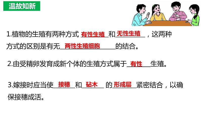 7.1.2 昆虫的生殖与发育（课件)-2023-2024学年人教版生物八年级下册01