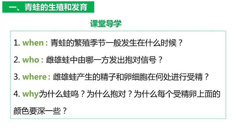 7.1.3两栖动物的生殖与发育（课件)-2023-2024学年人教版生物八年级下册05