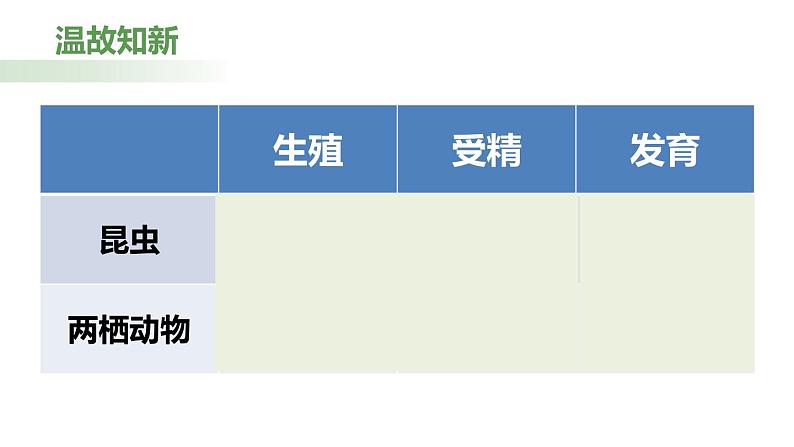 7.1.4 鸟的生殖与发育（课件)-2023-2024学年人教版生物八年级下册01