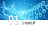 7.2.1基因控制生物的性状（课件)-2023-2024学年人教版生物八年级下册
