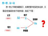 7.2.3 基因的显性和隐性（课件)-2023-2024学年人教版生物八年级下册