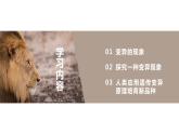 7.2.5 生物的变异（课件)-2023-2024学年人教版生物八年级下册