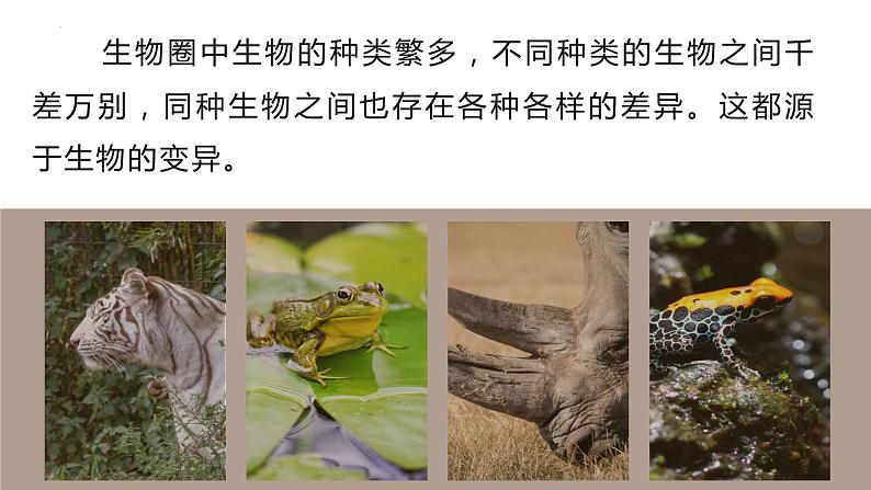 7.2.5 生物的变异（课件)-2023-2024学年人教版生物八年级下册06