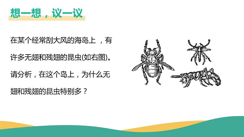 7.3.3 生物进化的原因（课件)-2023-2024学年人教版生物八年级下册第2页