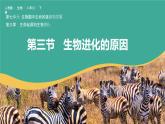 7.3.3 生物进化的原因（课件)-2023-2024学年人教版生物八年级下册