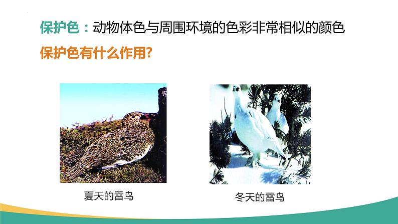 7.3.3 生物进化的原因（课件)-2023-2024学年人教版生物八年级下册第8页