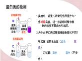 8.1 人类的食物（课件）2023--2024学年北师大版生物七年级下册