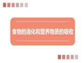 8.2 食物的消化和营养物质的吸收（课件）2023--2024学年北师大版生物七年级下册