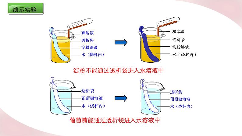 8.2 食物的消化和营养物质的吸收（课件）2023--2024学年北师大版生物七年级下册07