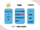 11.1 人体产生的代谢废物（课件）2023--2024学年北师大版生物七年级下册