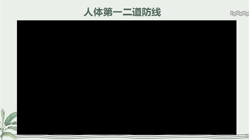 13.3 人体免疫（课件）2023--2024学年北师大版生物七年级下册03