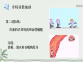 13.3 人体免疫（课件）2023--2024学年北师大版生物七年级下册
