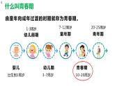 4.1.3 青春期（课件）2023--2024学年人教版生物七年级下册